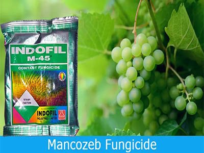 Mancozeb Manufacturer in Umang